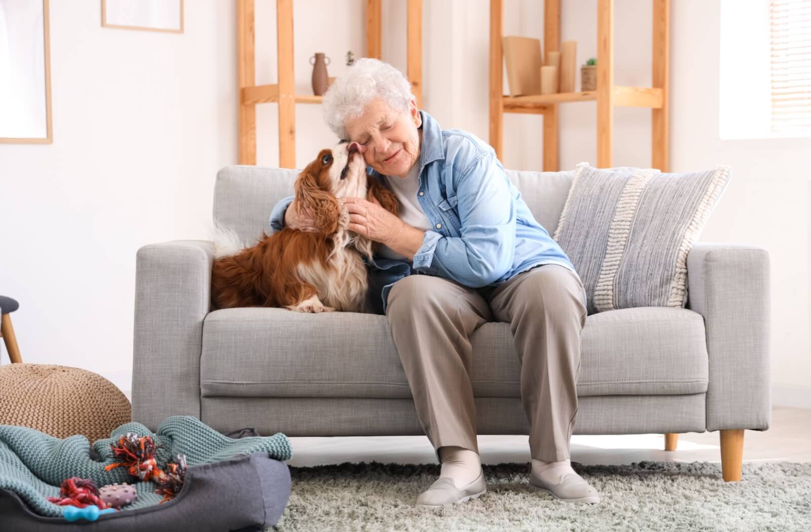 An older adult woman receives affection from her service dog on her couch.