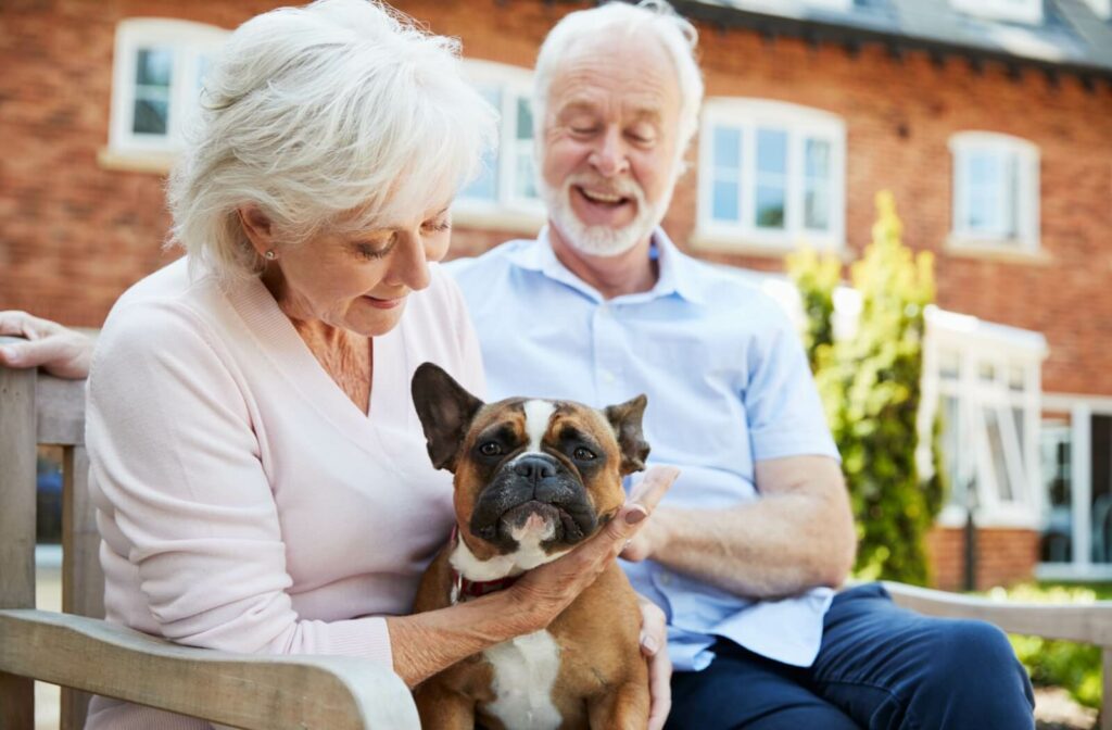 An older couple sit outdoors and pet their french bulldog.